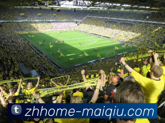 买球线上官方全站App